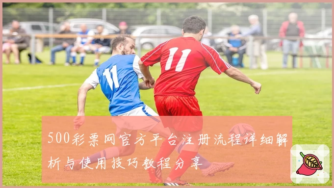 500彩票网官方平台注册流程详细解析与使用技巧教程分享