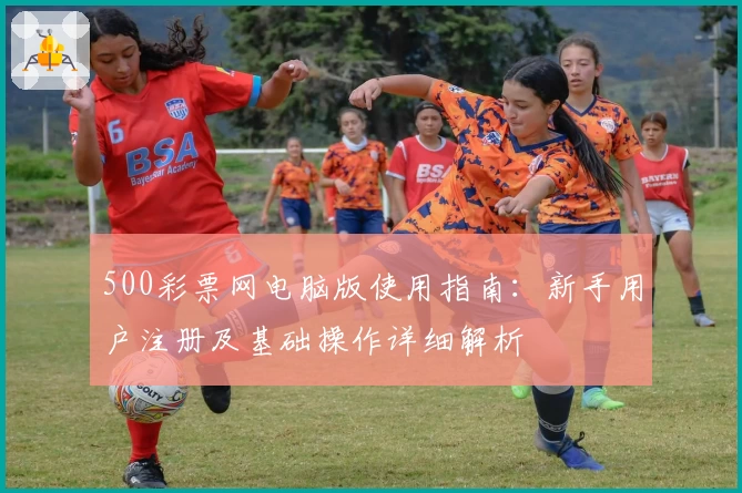 500彩票网电脑版使用指南：新手用户注册及基础操作详细解析